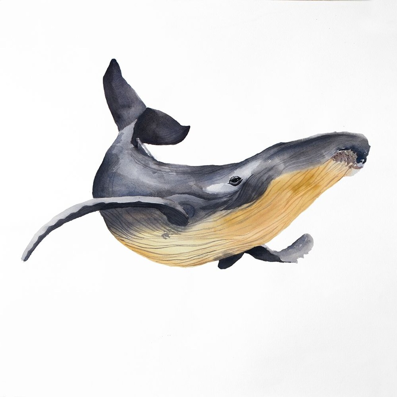 BLUE WHALE Poster Print by Atelier B Art Studio - Item # VARPDXBEGANI394